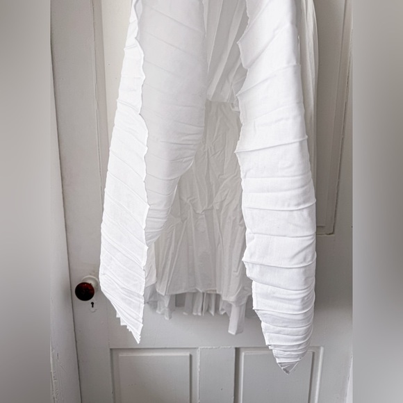 Banana Republic Accordian Maxi Skirt - Picture 5 of 8